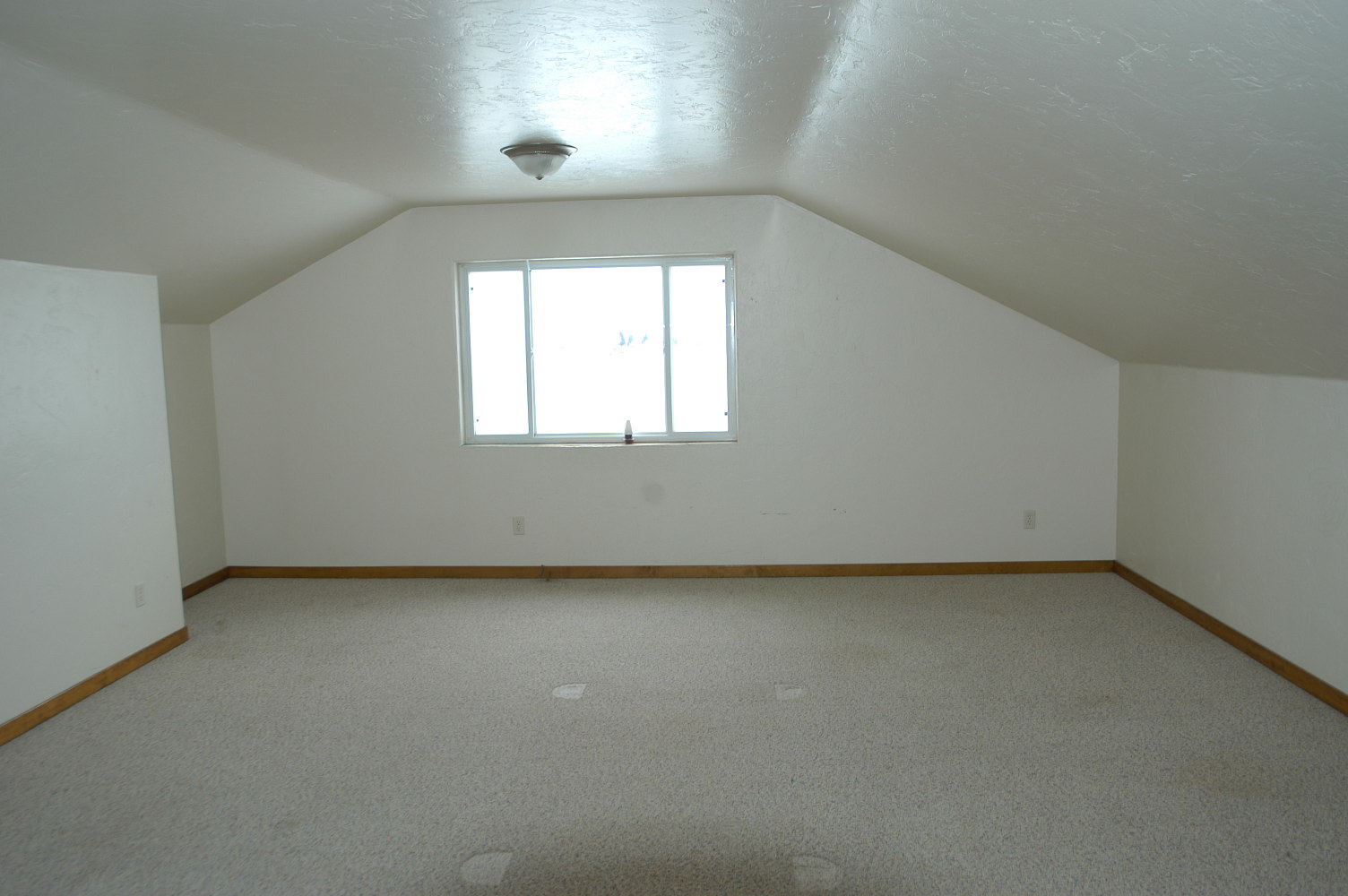 Viewing Image 8