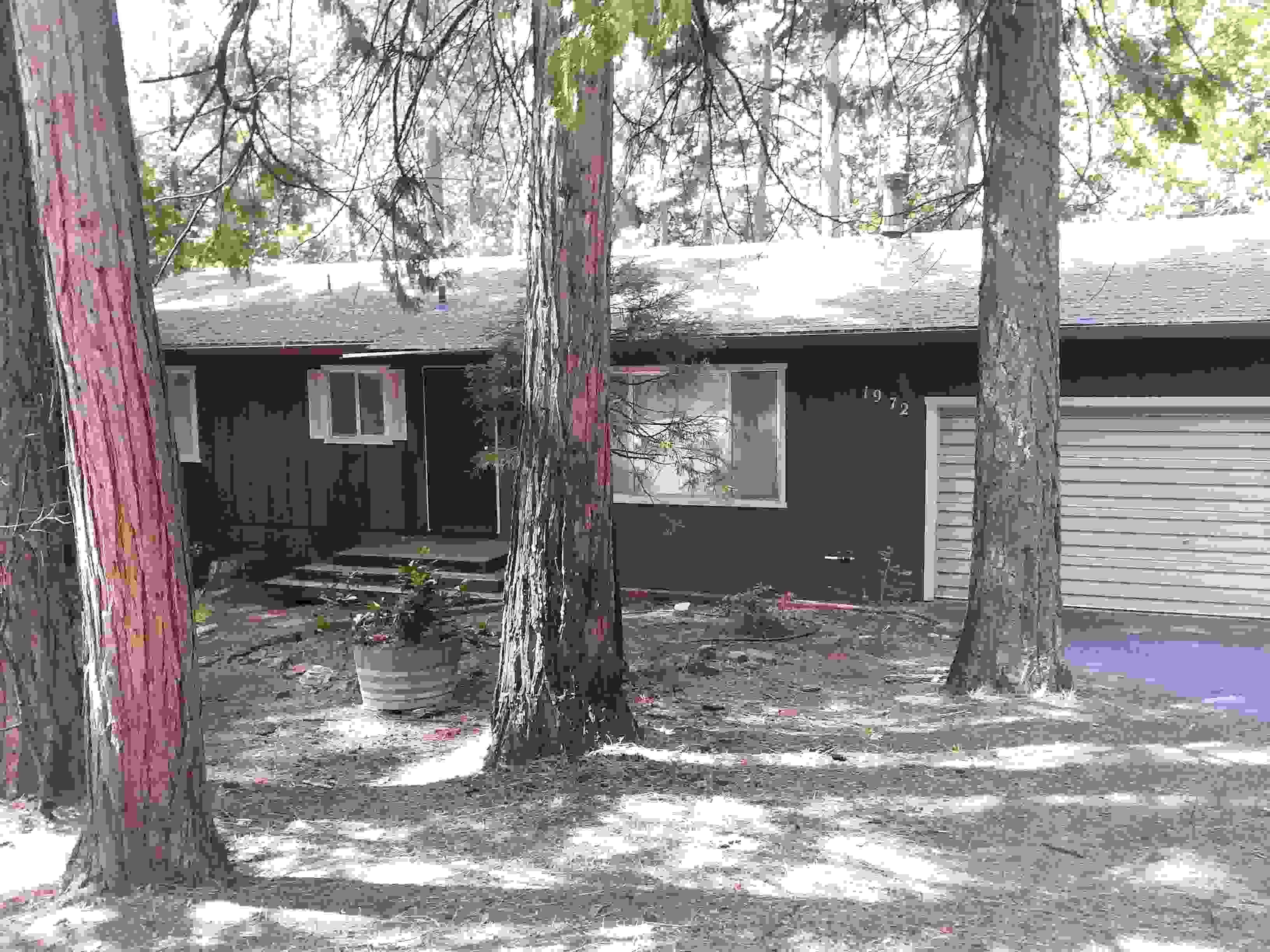 1972 Rawhide Dr, Arnold, CA 95223
